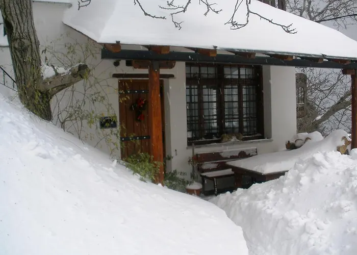 招待所 Seirios 4*